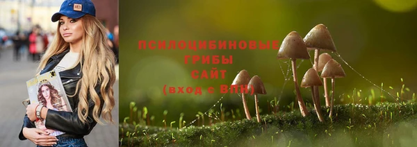 прущий лед Козловка