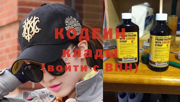 гашик Кодинск