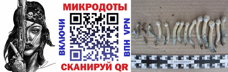 Псилоцибиновые грибы прущие грибы  как найти наркотики  Урень 